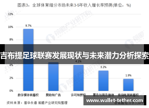 吉布提足球联赛发展现状与未来潜力分析探索