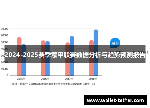 2024-2025赛季意甲联赛数据分析与趋势预测报告